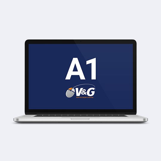 A1 e-CNPJ A1 | Arquivo (1 ano)